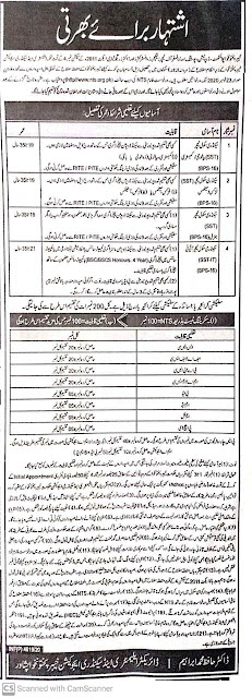 Job Opportunities  in Elementary and secondary Education department,