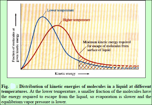 التبخر أو التبخير Evaporation Or Vaporization تعرف على علم الكيمياء