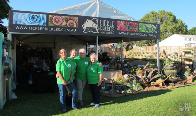 Fickle Prickles at the Perth Garden Festival 2017