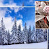 Style ProShow Producer Slide Show 10 From Vasiliy Pavlenko