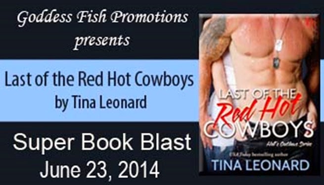 SBB_LastOfTheRedHotCowboys_Banner