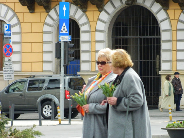 cluj napoca