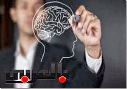 اطعمة لتقوية العقل اطعمه لتقويه العقل