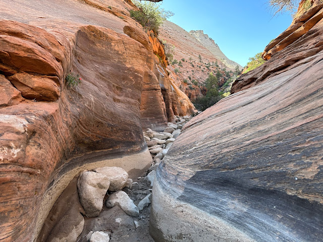 Zion National Park