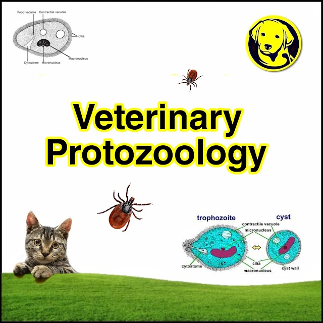 Free Download Veterinary Protozoology Full Pdf