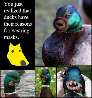 reason why ducks wearing dog masks