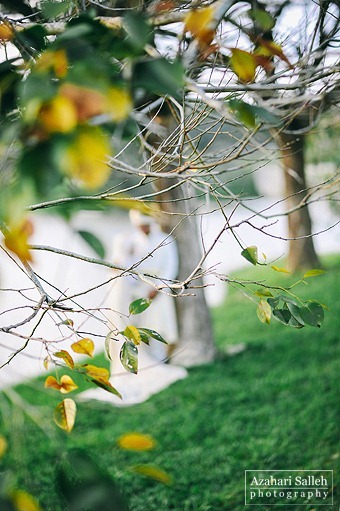 ASP_8788