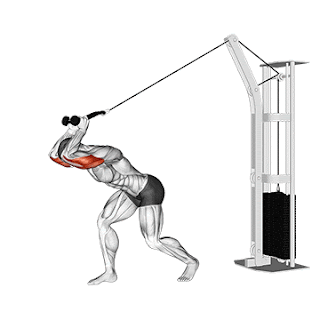 Triceps pulley overhead