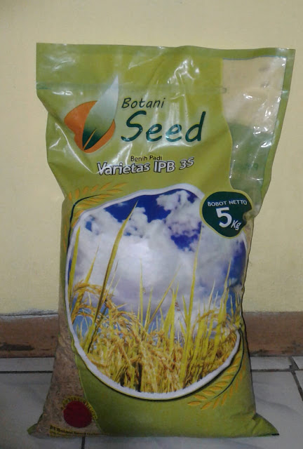 benih padi IPB 3 S yang saya jual murah berkualitas dari kampus IPB langsung