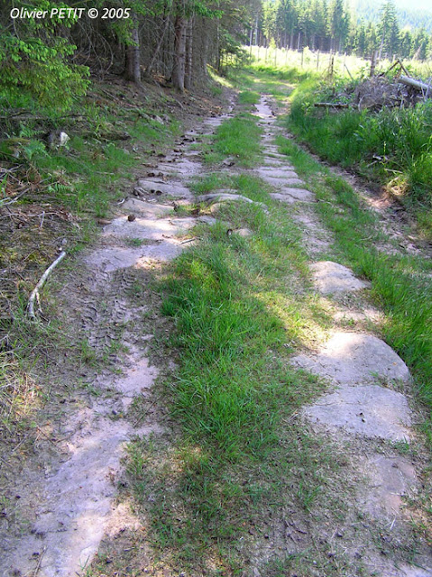 RAON-LES-LEAU (54) - Voie romaine de la forêt de Roule-Bacon