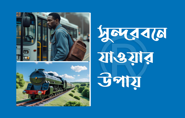 সুন্দরবনে যাওয়ার উপায়