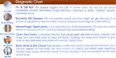 AAP Doxycycline, Fin and Body Cure