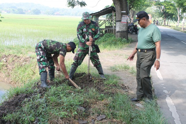 PEMBUATAN LUBANG MENGHADAPI TANAM POHON PENGHIJAUAN PADAT KARYA