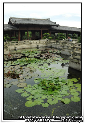 志蓮淨苑 (Chi Lin Nunnery)