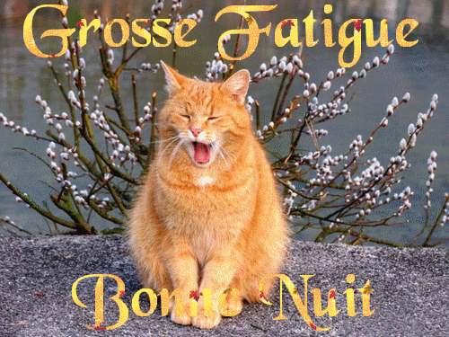 Bonne Nuit Images Photos Gif Bonne Nuit Mon Amour Les Petits Humour Sms Messages Soiree Bisous Bonne Annee 23 Image Gif Message Texte Carte De Vœux Humour Nouvelle Annee 23