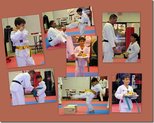 Vedic Taekwondo Green Belt Testing