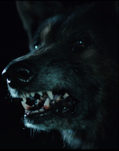 44 Best Images The Pack Movie 2015 : Horror Movie Review Llamageddon 2015 Games Brrraaains A Head Banging Life