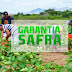 Pagamento do Garantia Safra Liberado Para Agricultores de 3 Municípios do Ceará