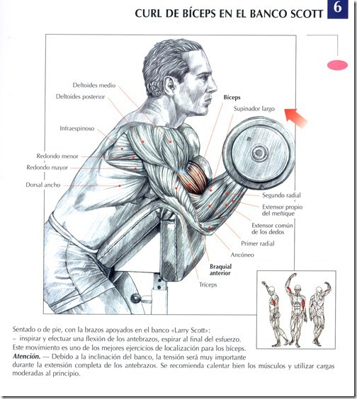 curl-de-biceps-en-el-banco-scott