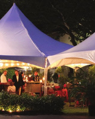 The last backyard wedding reception example in the article is actually a