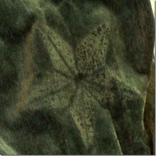 embossed-velvet-5