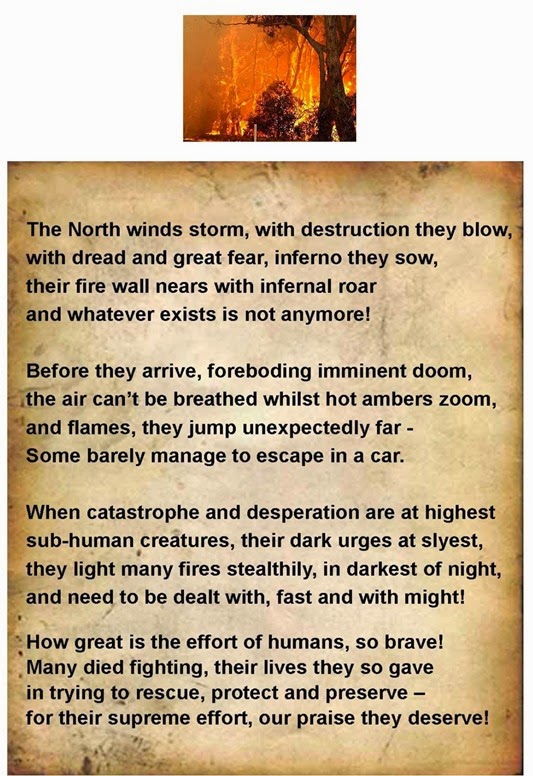 BUSHFIRE 