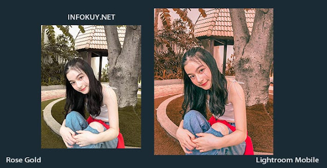 Tutorial Edit Foto Rose Gold Lightroom