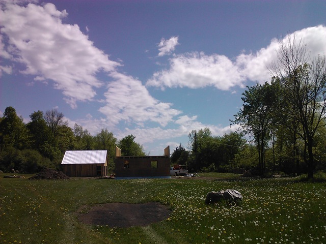 WP_002213