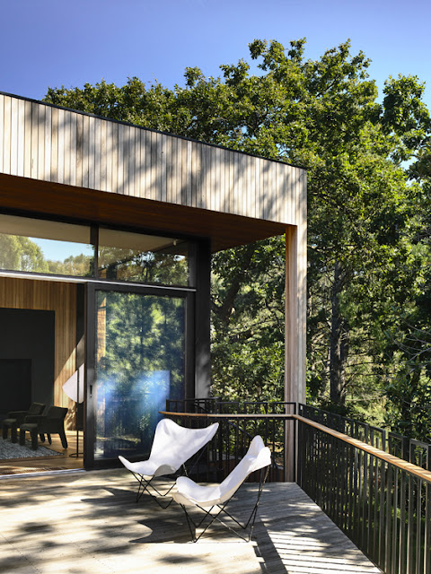 Maison contemporaine dans la verdure terrasse