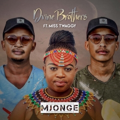 (Afro House) Dvine Brothers & Miss Twaggy - Mjonge (Original Mix) (2020)