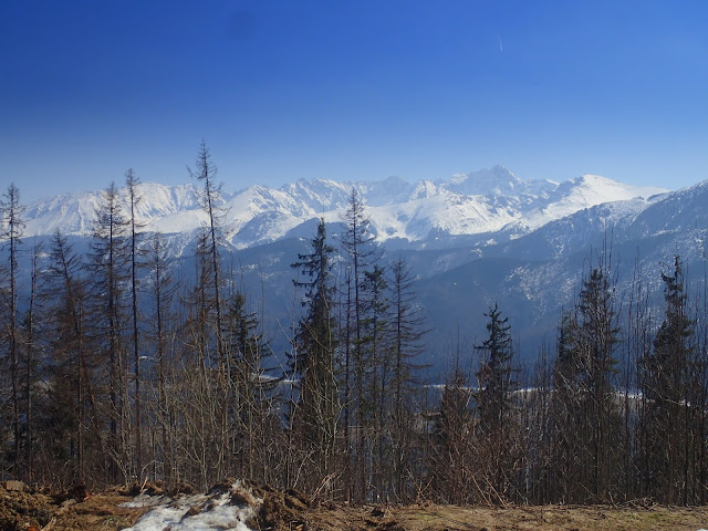 Butorowe widoki na Tatry