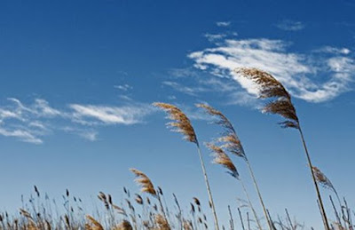 Quitar contaminacion del viento