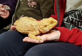 Cockfields farm reptile house dragon