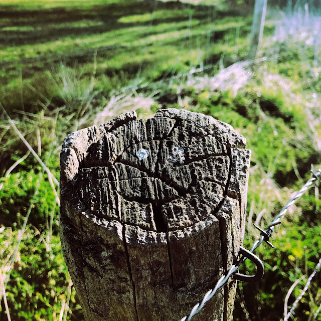 Lachend gezichtje op houten paal