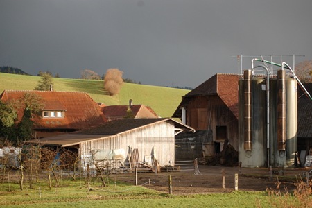 DSC_0501