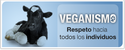 Maltrato A Los Animales