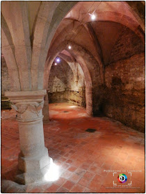 NEUFCHATEAU (88) - Cave gothique de l'Hôtel d'Houdreville 