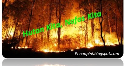 Bahaya Asap Kebakaran Hutan Bagi Kesehatan - Pena Opini