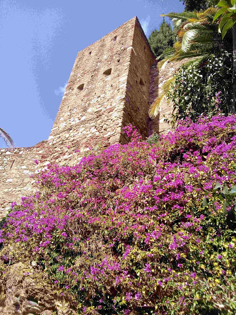 Malaga in March Alcazaba