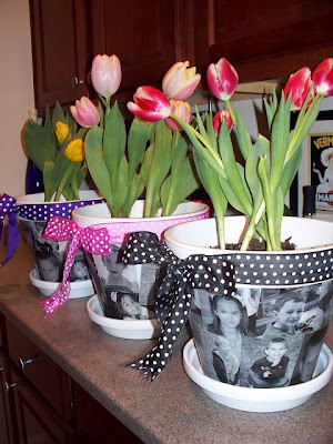 Why not give your parents some flowerpots on this parents day. These are beautiful and practical gifts for them.