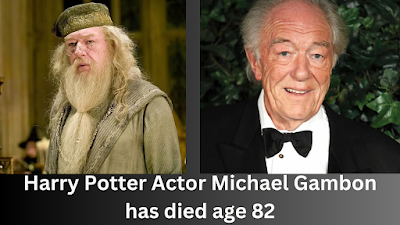 Sir Michael Gambon, the renowned actor known for his iconic role as Professor Dumbledore in the Harry Potter films.