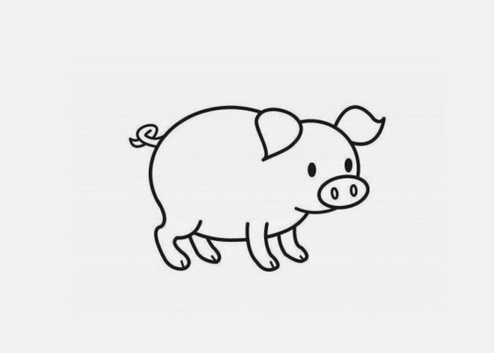 picture of pig to color