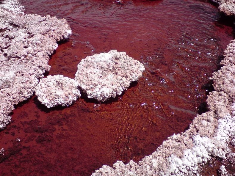 red-lagoon-chile-9 red-lagoon-chile-9