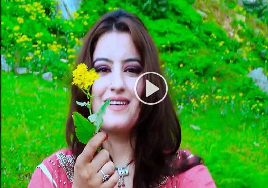 Pashto New HD Song 2017 Tanha Tanha