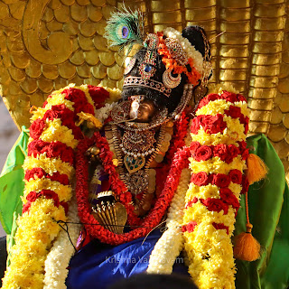 Sri Parthasarathy Perumal, Kutti Kannan ,Purappadu, Sesha Vahanam,Kalinga Narthanam,Sri Krishna Jayanthi ,2022