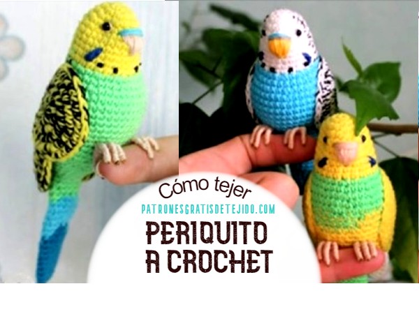 tutorial-video-periquito-crochet