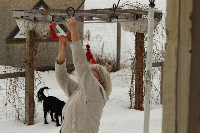 Mesh bag bird feeder