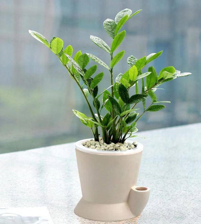 clip_image001