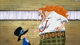 ワンピースアニメ 幼少期 495話 サボ ダダン | ONE PIECE Episode 495