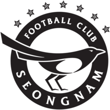 Plantilla de Jugadores del Seongnam FC - Edad - Nacionalidad - Posición - Número de camiseta - Jugadores Nombre - Cuadrado